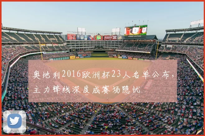 奥地利2016欧洲杯23人名单公布，主力锋线深度成赛场隐忧