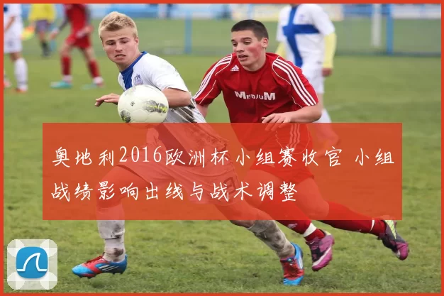 奥地利2016欧洲杯小组赛收官 小组战绩影响出线与战术调整