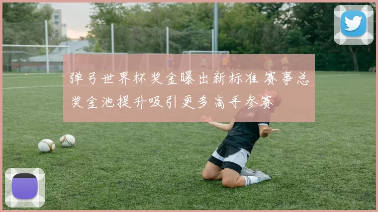 弹弓世界杯奖金曝出新标准 赛事总奖金池提升吸引更多高手参赛