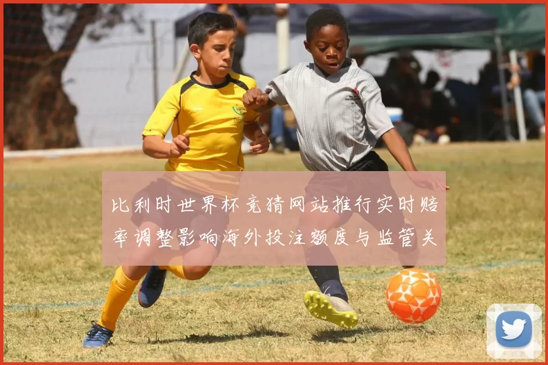 比利时世界杯竞猜网站推行实时赔率调整影响海外投注额度与监管关注